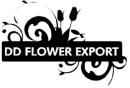 Logo dd flower export