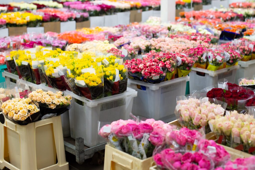 DD Flower Export: Eenvoudig en efficiënt bloemen bestellen